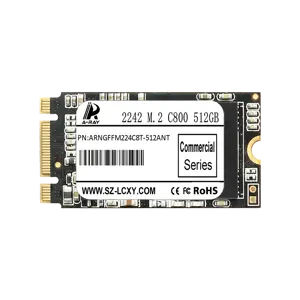 ARNGFFM224C8T-512ANT Ổ cứng SSD 512GB A-RAY 2242 NGFF M.2 6GBps C800 Commercial Series