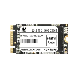 ARNGFFM224I8M-256ANT Ổ cứng SSD 256GB A-RAY 2242 NGFF M.2 6GBps I800 Industrial Series