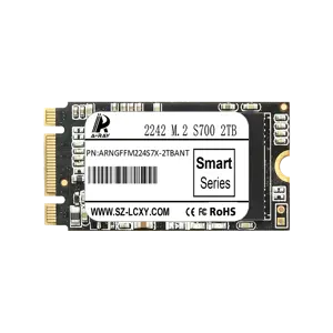 ARNGFFM224S7X-2TBANT Ổ cứng SSD 2TB A-RAY 2242 NGFF M.2 6GBps S700 Smart Series